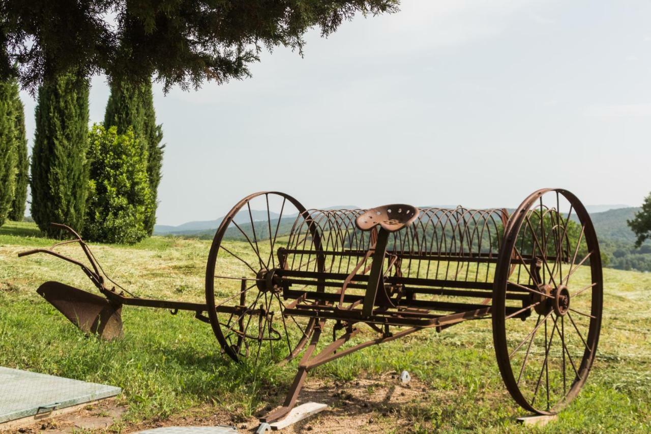 Agriturismo Il Felciaione Massa Marittima Exteriér fotografie